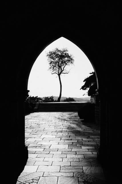 Film wedding photography — photograph 14