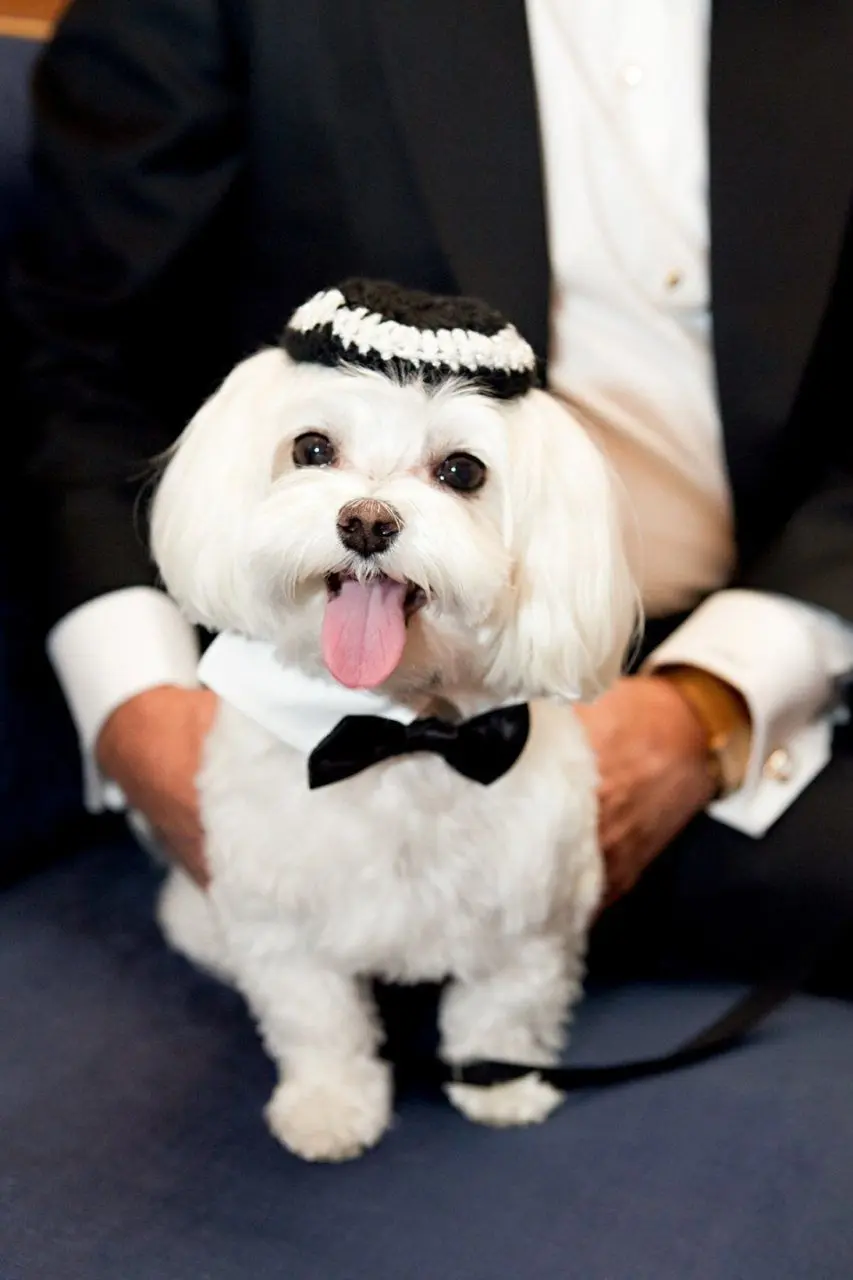NYC wedding and event photography by Terry, Gruber Photographers — photograph 36